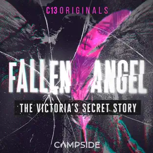 An image of a broken mirror, with the words Fallen Angel The Victorias Secret Story in White with a neon pink feather in the middle.