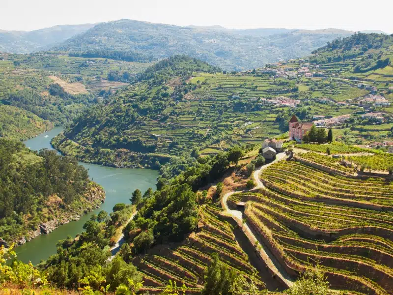 The vineyards along the Douro river